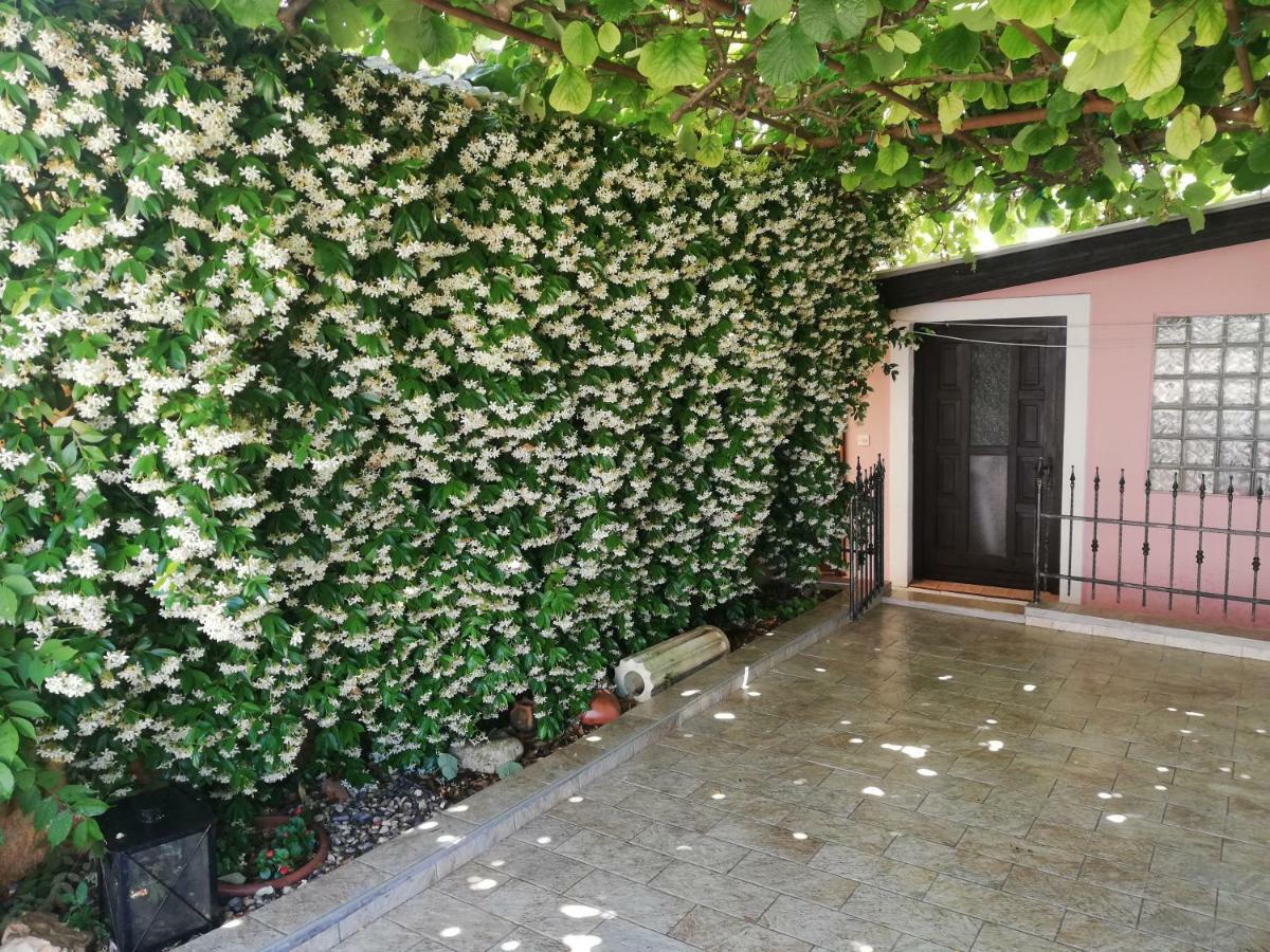 Vintijan Appartement